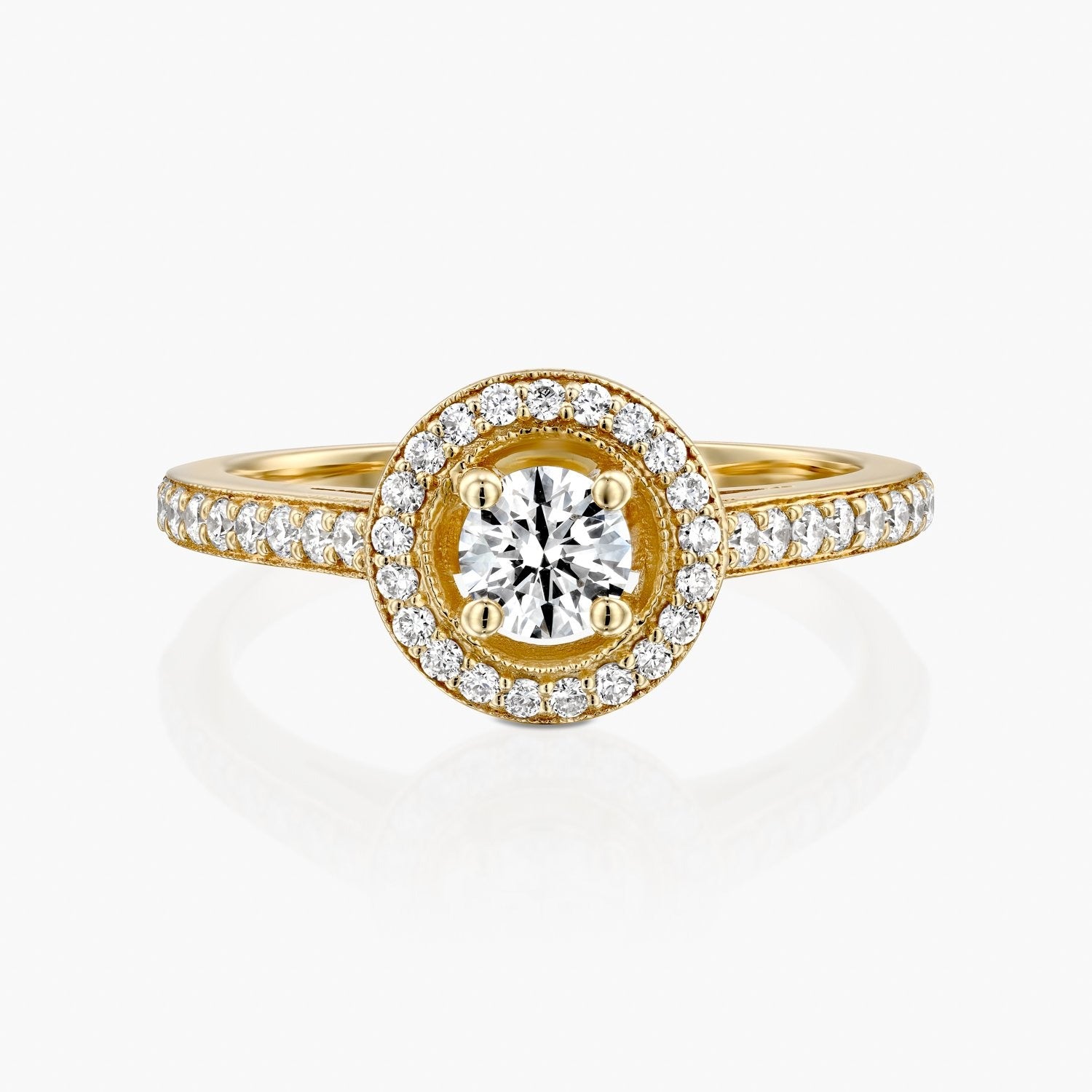 טבעת היילו מלכותית - Zoy