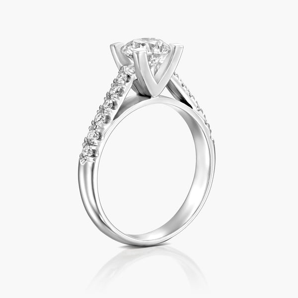 טבעת הסולטן - Zoy