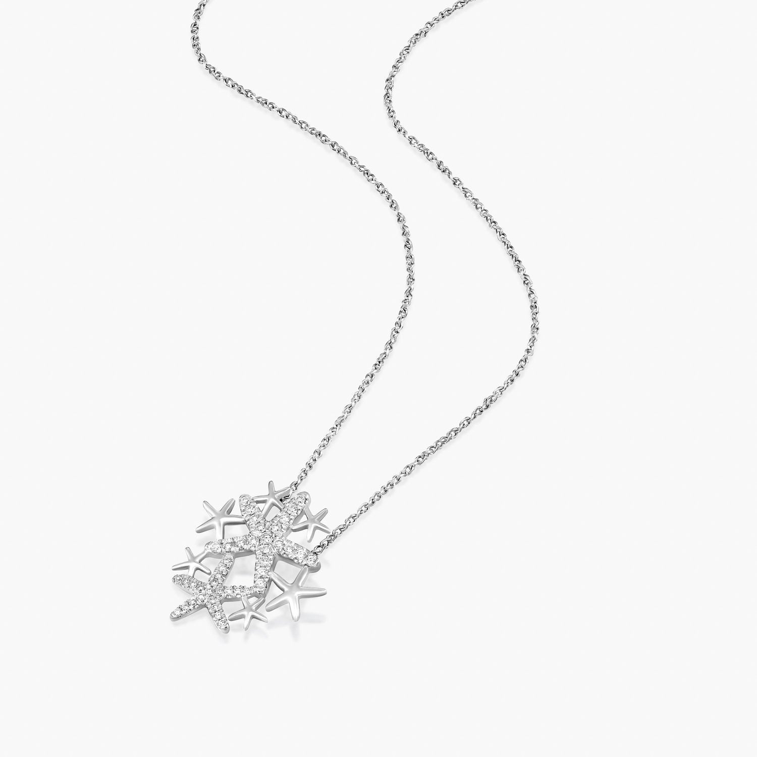 ענק כוכבי ים - Zoy