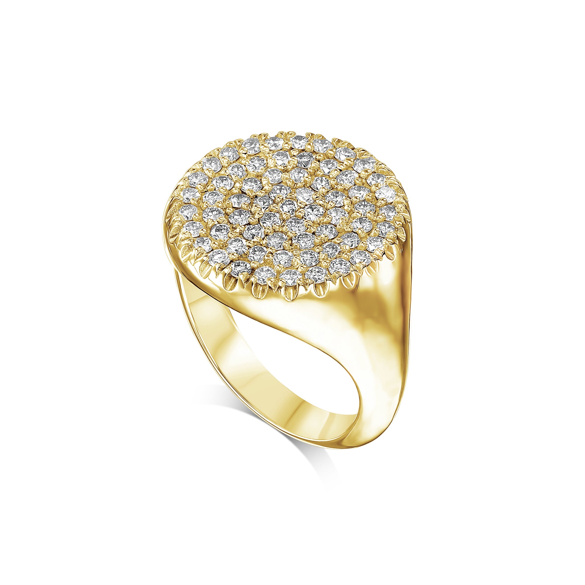 טבעת מעגל שיבוצי חותם