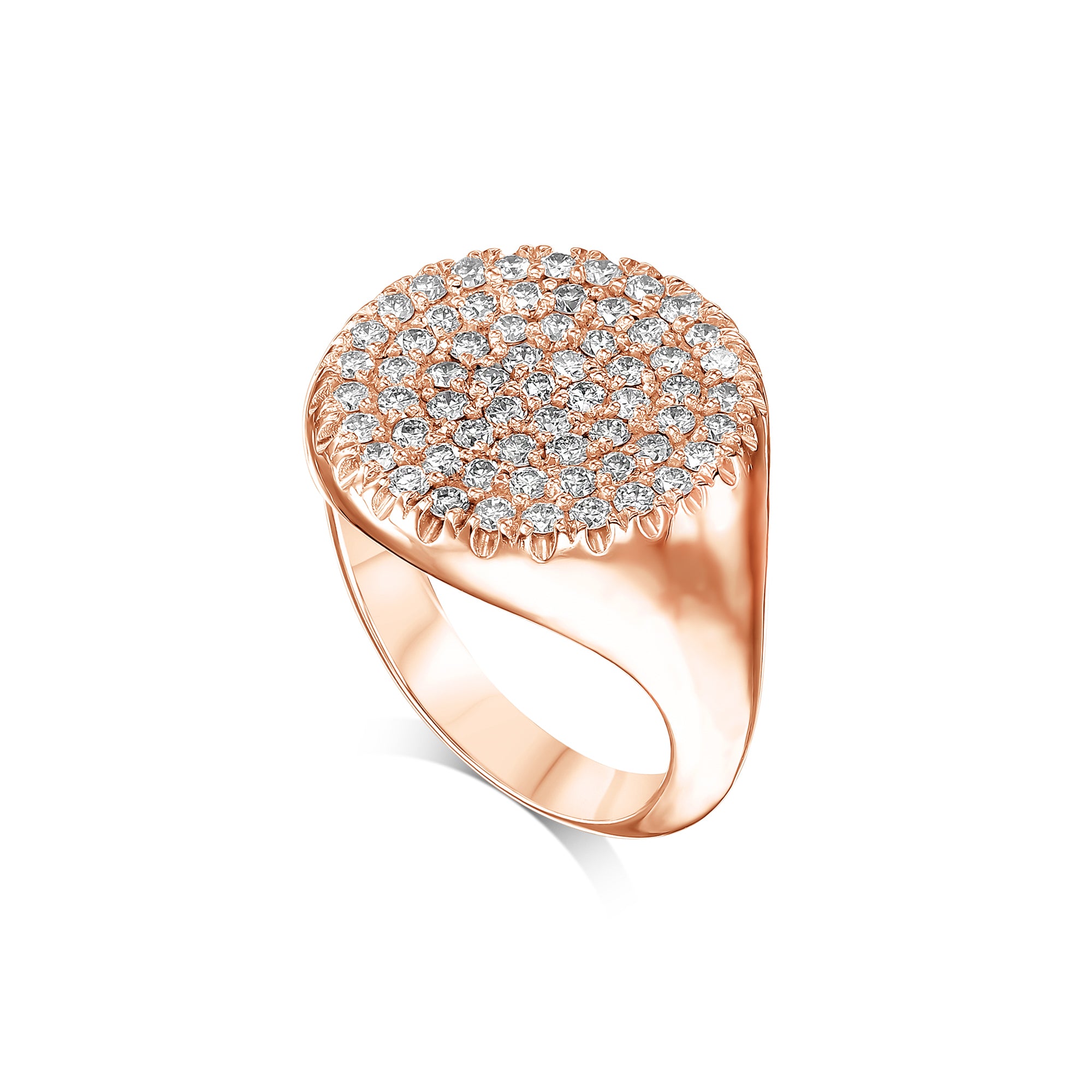 טבעת מעגל שיבוצי חותם