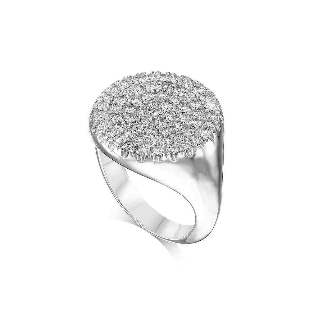 טבעת מעגל שיבוצי חותם