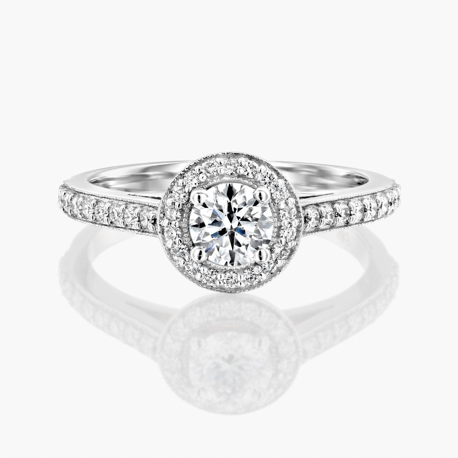 טבעת היילו מפוארת - Zoy