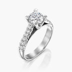 טבעת הסולטן - Zoy