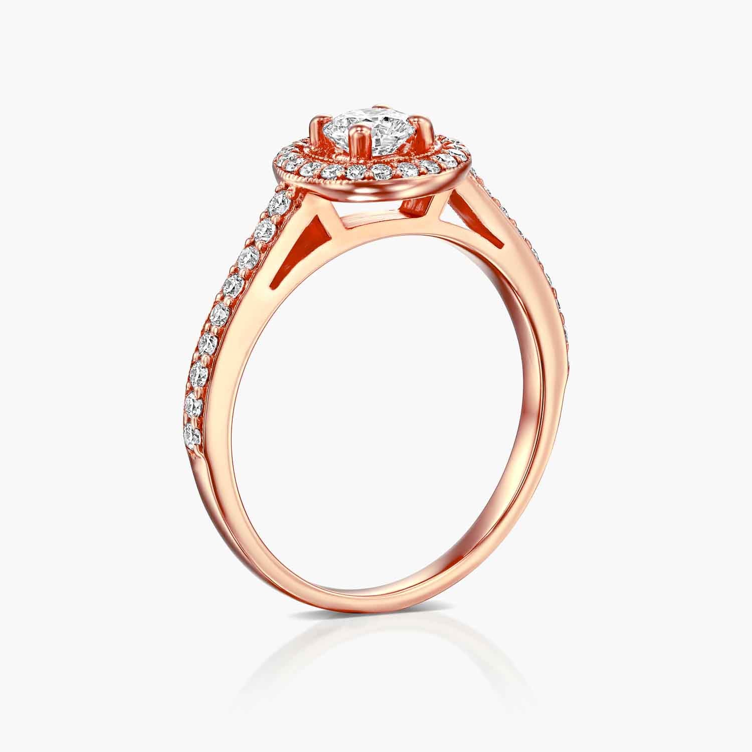 טבעת היילו מלכותית