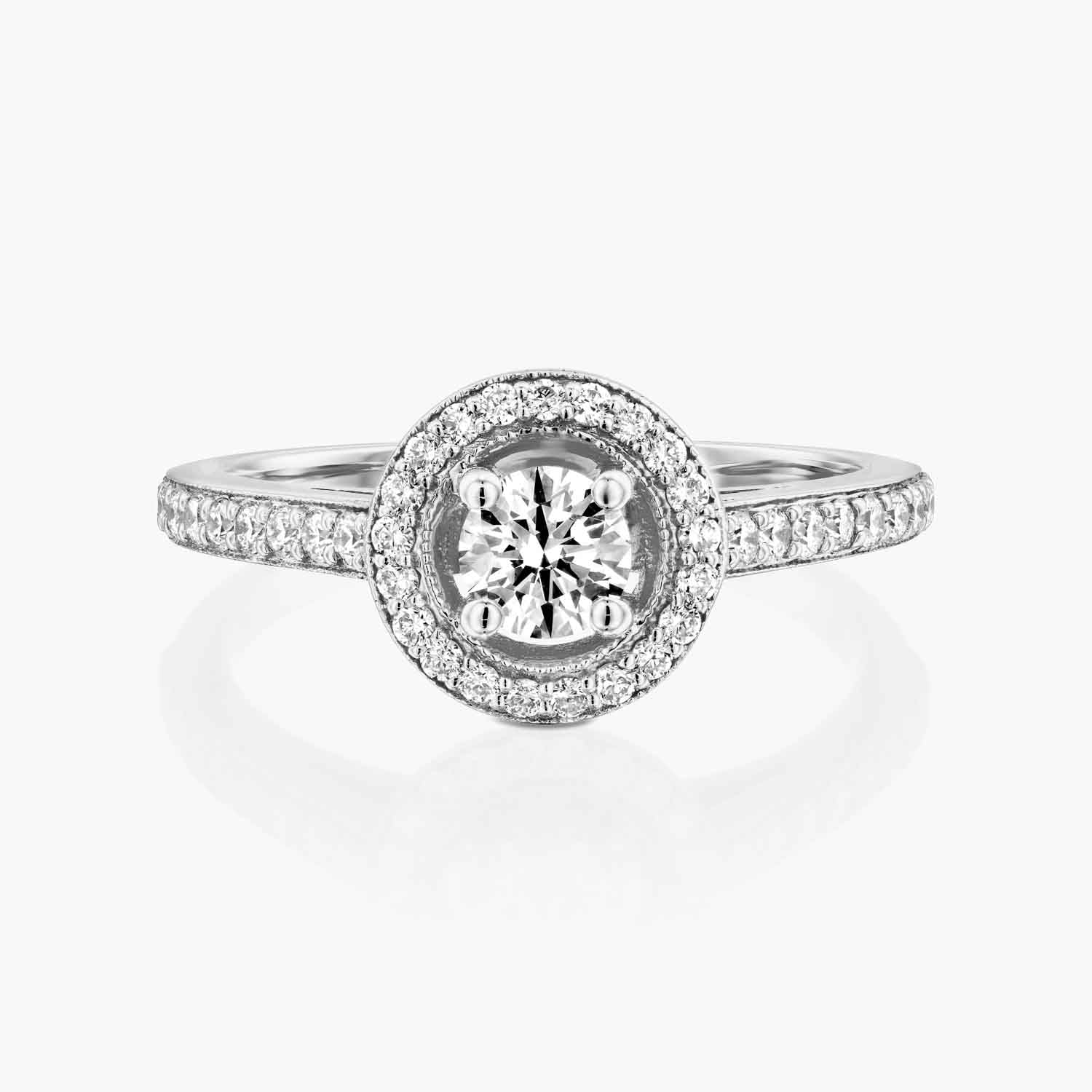 טבעת היילו מלכותית